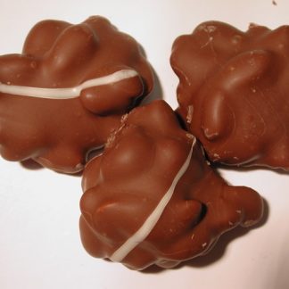 Sugar Free - Chocolate Covered Peanut Clusters