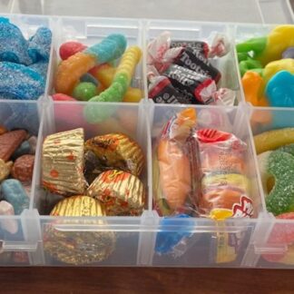 Snacklebox - 8 compartment, reusable, box of goodness